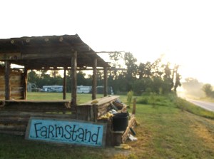 SU&GI early summer 818