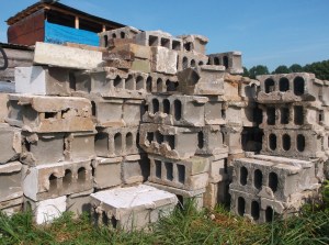 SU&GI early summer 882