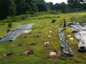 SU&GI early summer 885